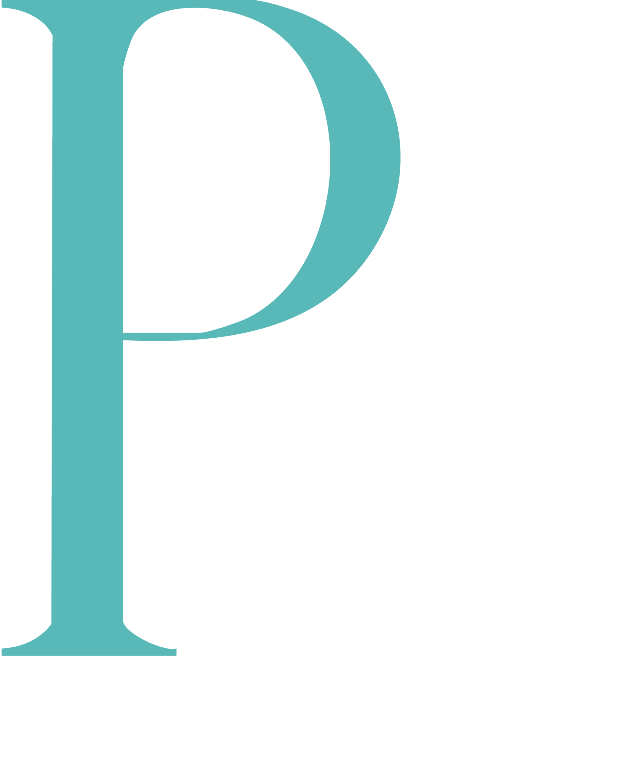 PM-Digital