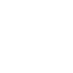 15-THE ICON