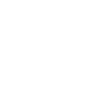 38-NS