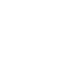 ALAA SHABANA