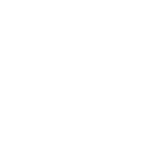auto maged